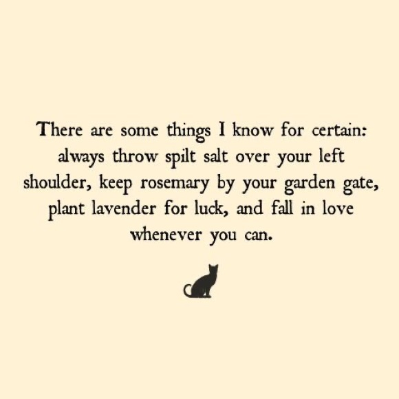 Meet your Posher, Marisa - Picture 3 of 7